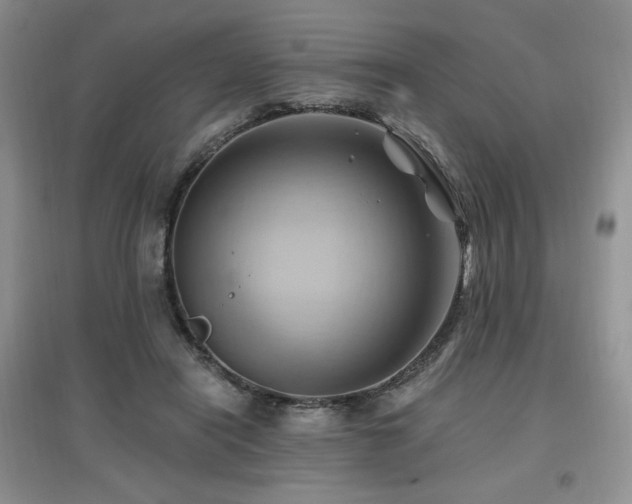 X0000097830454200803141149