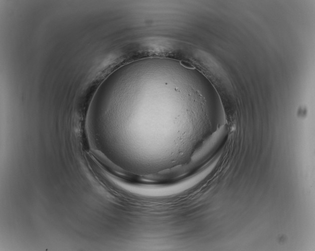 X0000097830456200803141149