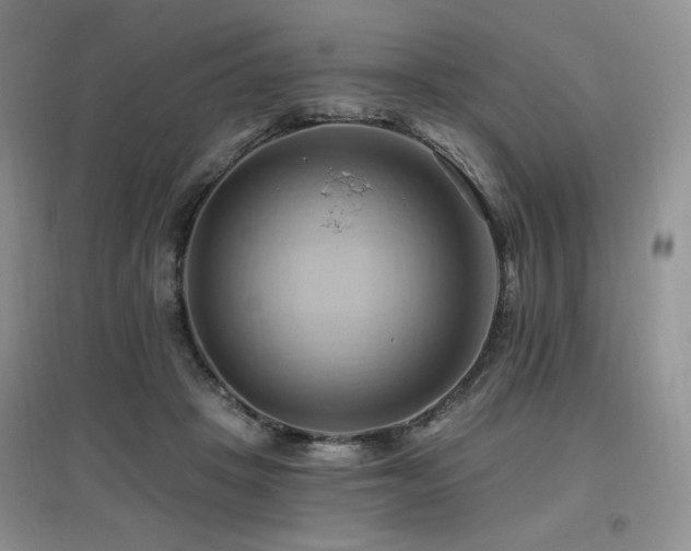 X0000097830457200803141149