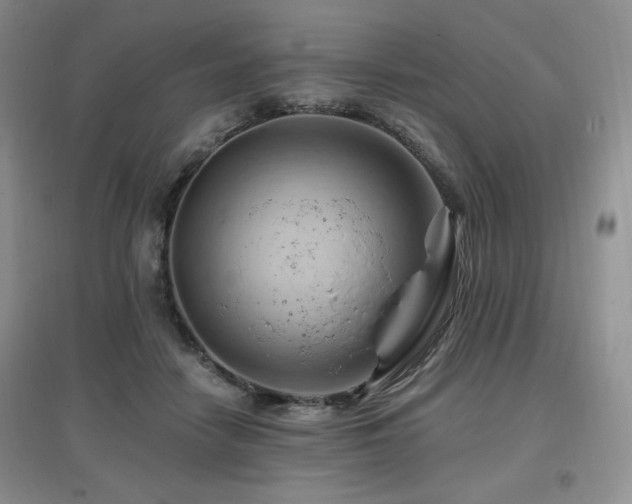 X0000097830458200803141149
