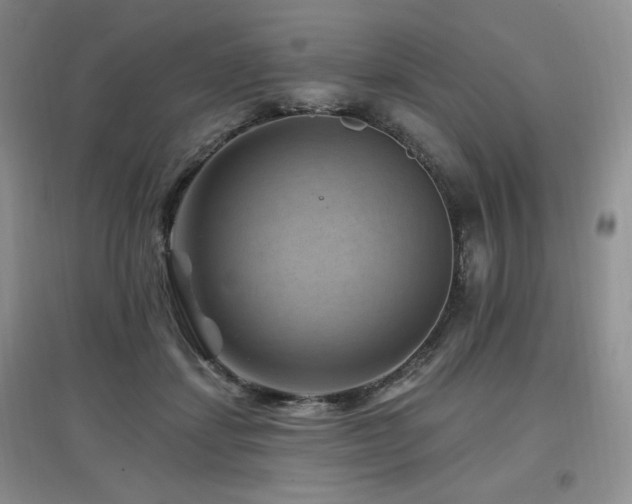X0000097830459200803141149