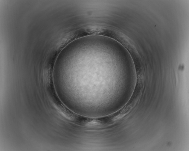 X0000097830460200803141149