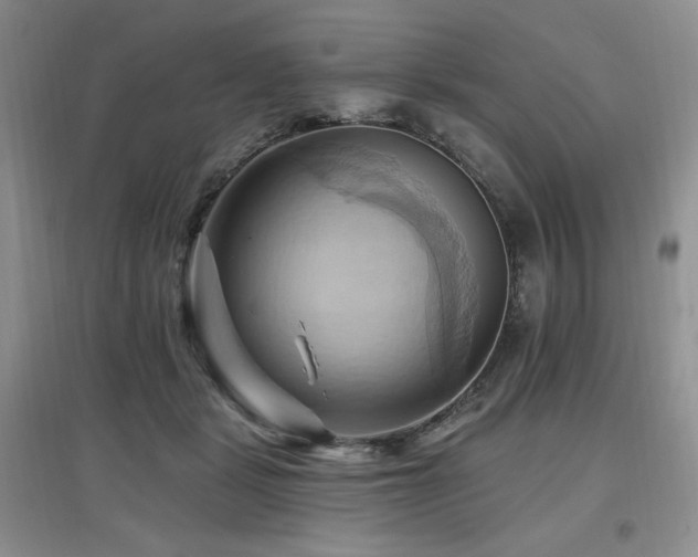 X0000097830461200803141149