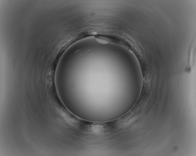 X0000097830462200803141149