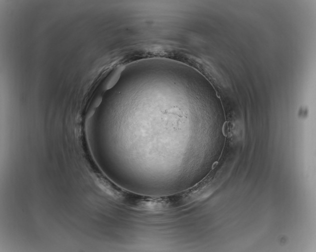 X0000097830466200803141149
