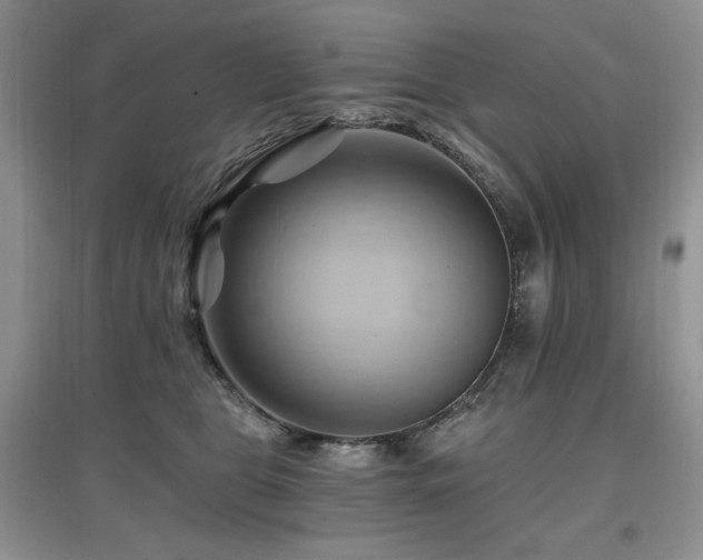 X0000097830469200803141149