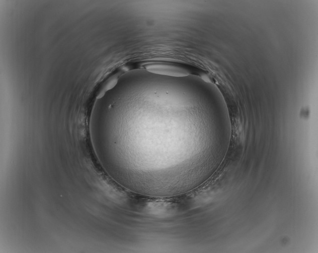 X0000097830470200803141149