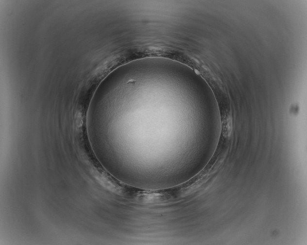 X0000097830472200803141149