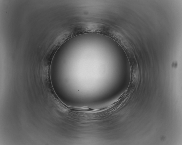 X0000097830473200803141149