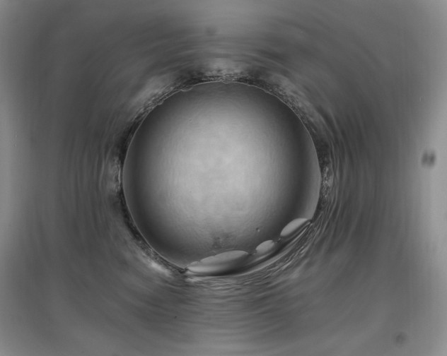 X0000097830474200803141149