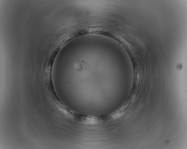 X0000097830475200803141149