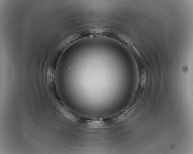 X0000097830476200803141149