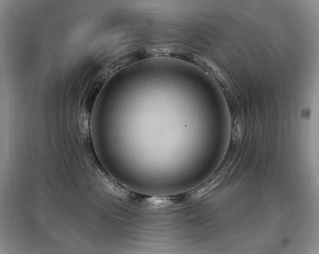 X0000097830477200803141149