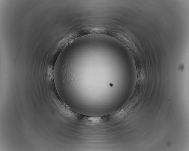 X0000097830478200803141149