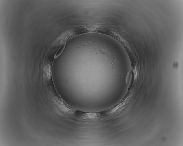 X0000097830479200803141149