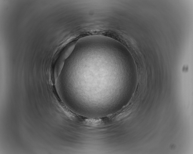 X0000097830480200803141149