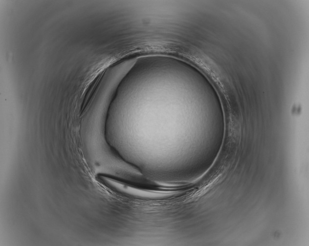 X0000097830481200803141148
