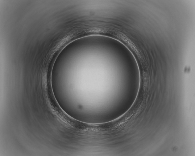X0000097830482200803141148