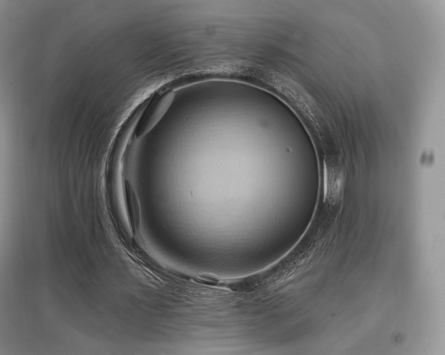 X0000097830483200803141148