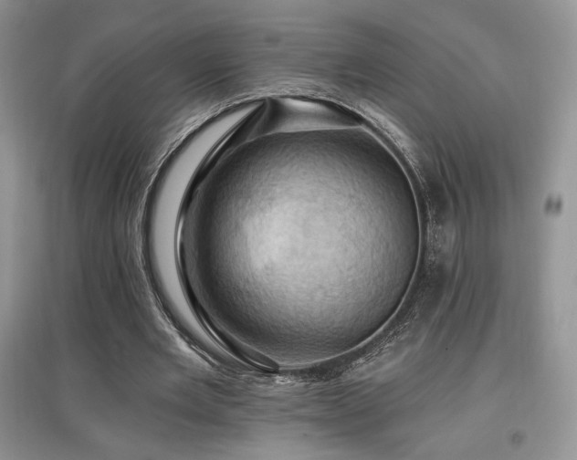 X0000097830485200803141148