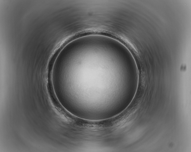 X0000097830486200803141148