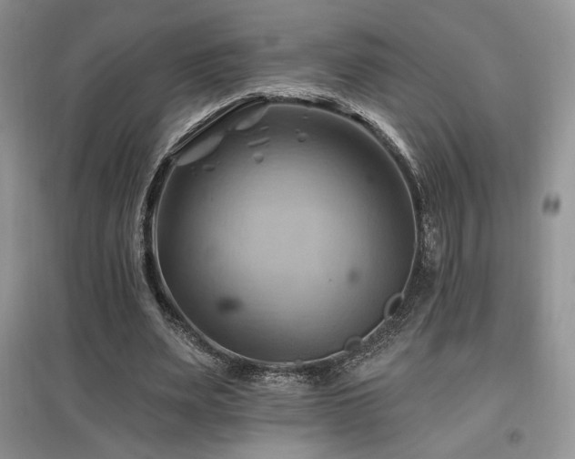 X0000097830487200803141148