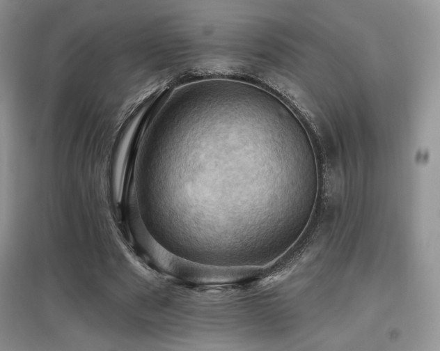 X0000097830489200803141148