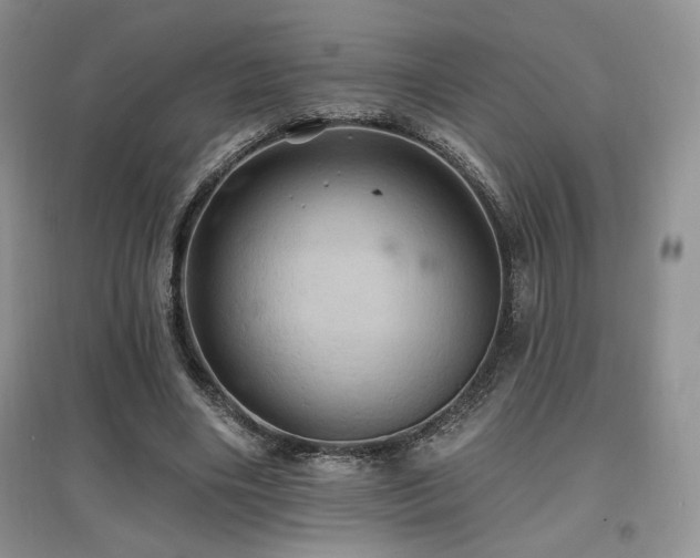 X0000097830490200803141148