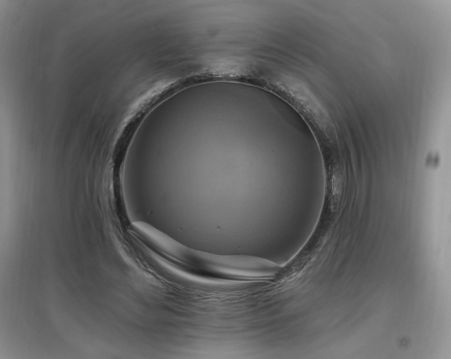 X0000097830492200803141148