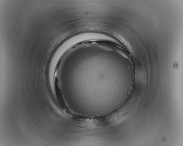 X0000097830493200803141148