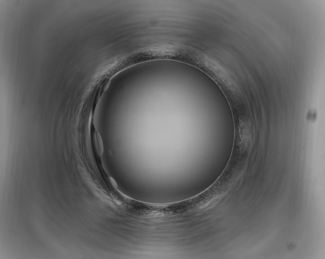 X0000097830494200803141148
