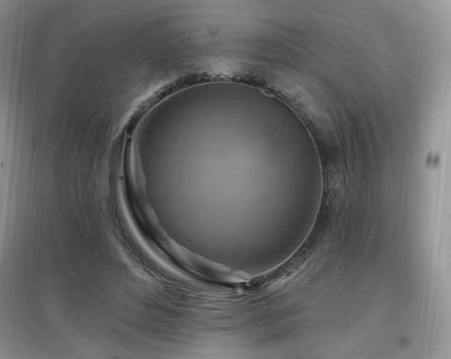 X0000097830496200803141148