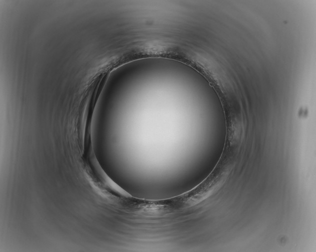 X0000097830497200803141148