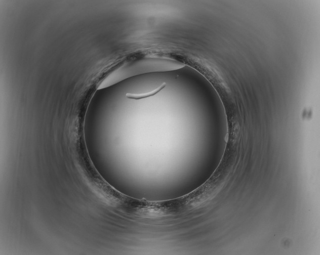 X0000097830498200803141148