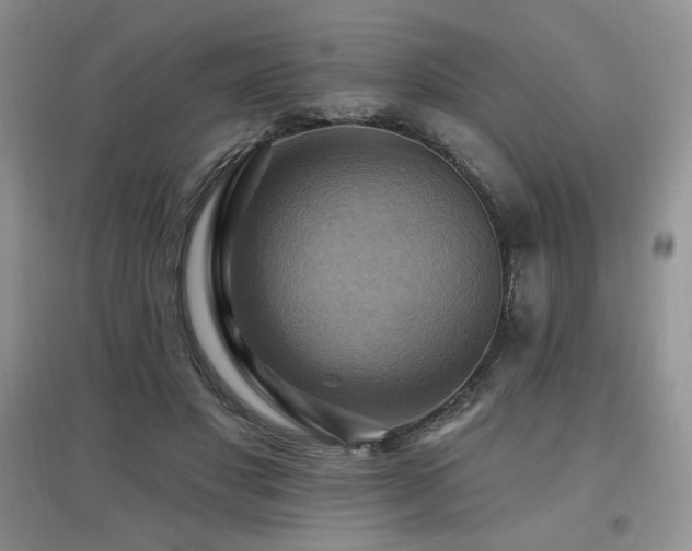 X0000097830501200803141148