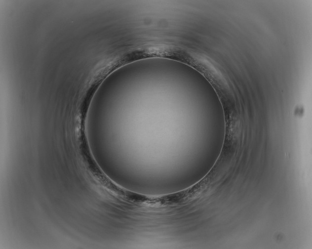 X0000097830502200803141148