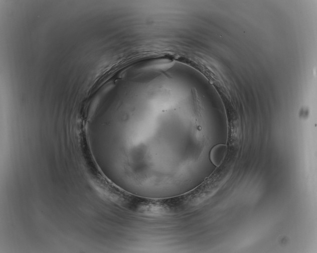X0000097830503200803141148