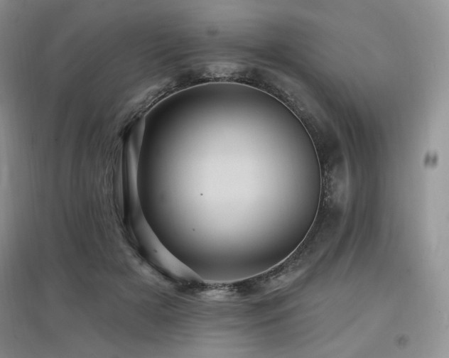 X0000097830505200803141148