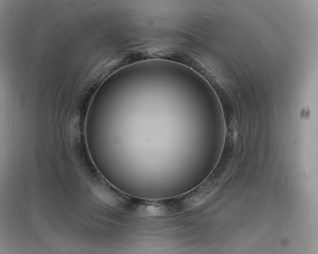 X0000097830506200803141148
