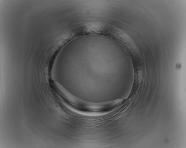X0000097830508200803141148