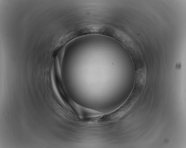 X0000097830509200803141148