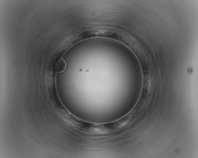 X0000097830510200803141148