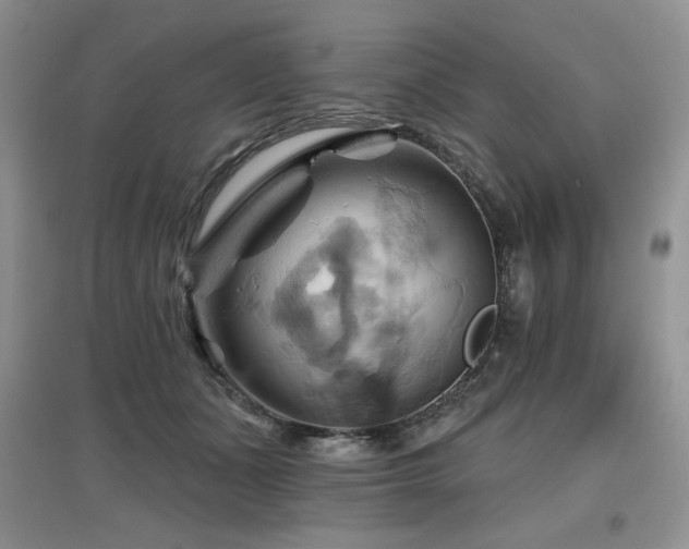 X0000097830511200803141148