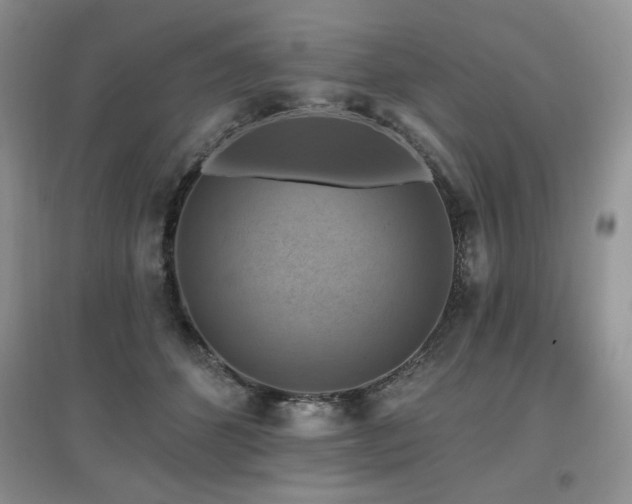 X0000097830512200803141148