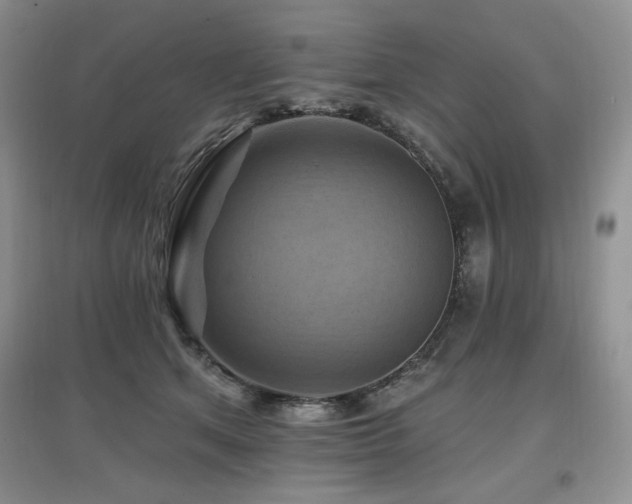 X0000097830513200803141148