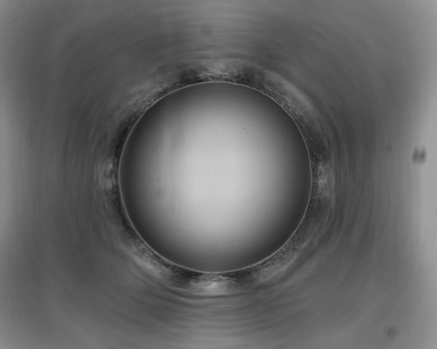 X0000097830514200803141148