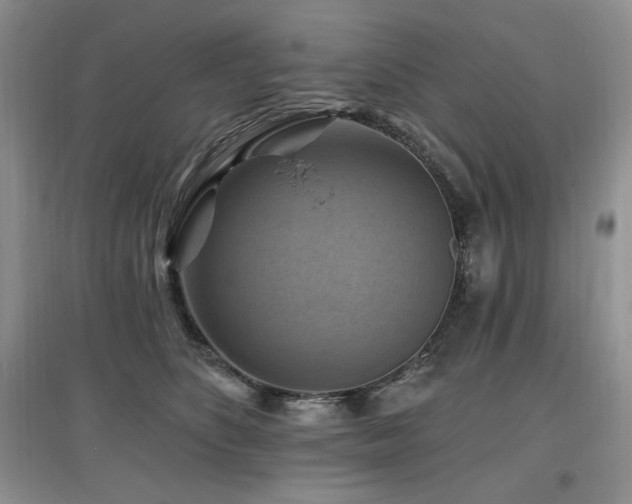 X0000097830516200803141148