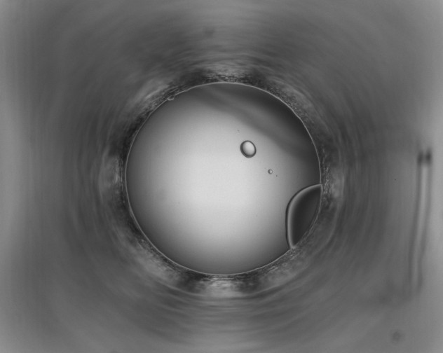 X0000097830518200803141148