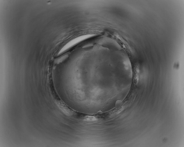 X0000097830519200803141148