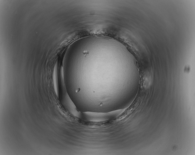 X0000097830521200803141148